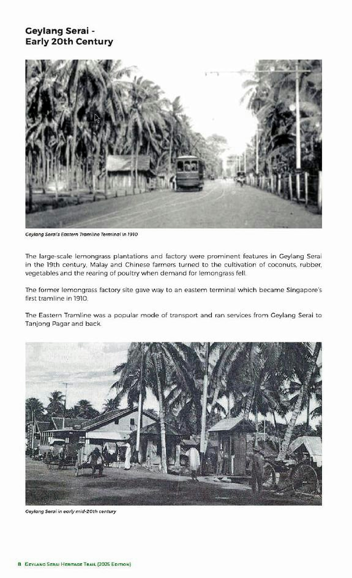二十世纪初的芽笼士乃道路与椰林聚落 / Roads and coconut-settlement landscape in early twentieth-century Geylang Serai